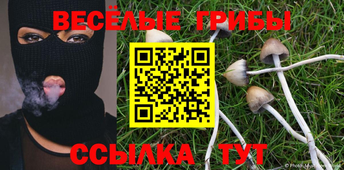 Галлюциногенные грибы MAGIC MUSHROOMS Фурманов
